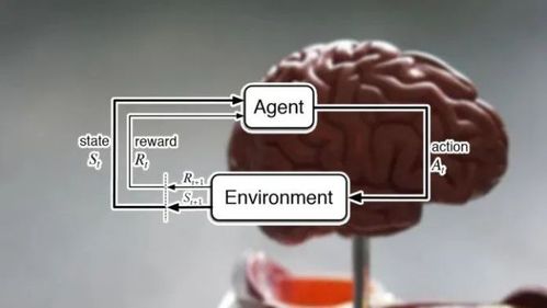 AI进化速度可能更快？谷歌Deepmind CEO：通用人工智能 (AGI) 或许在几年内就可以实现