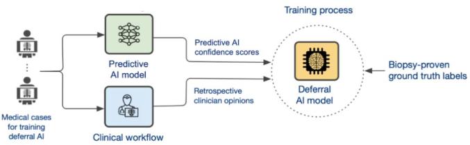 DeepMind新研究：提高医学预测AI系统的准确性